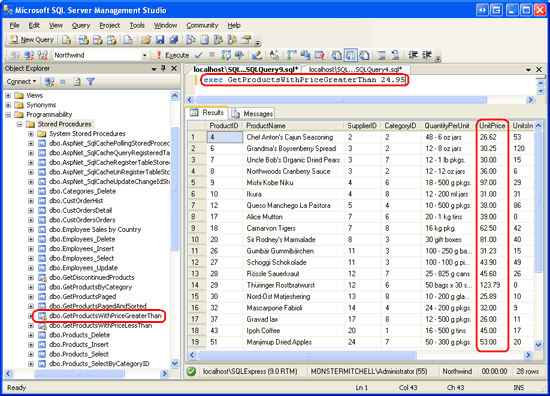 The ManuallyCreatedDBObjects.dll is Listed in the Object Explorer