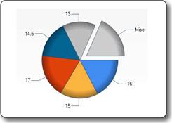 Description: Picture of the Pie chart type