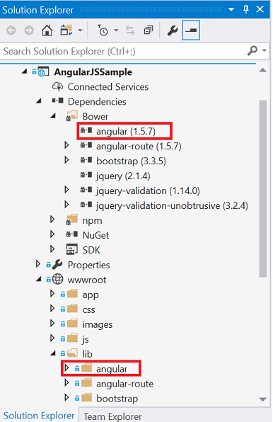 Solution Explorer with AngularJS Project