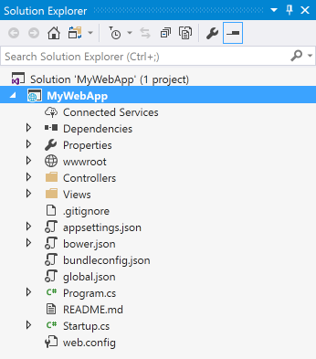 Files and folders of a new project in Solution Explorer