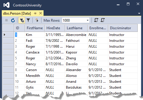 Person table in SSOX - table data