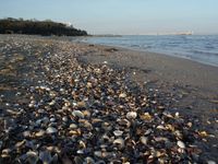 Болгария - Бургас