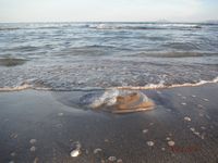 Болгария - Бургас