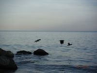 Болгария - Бургас