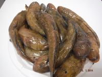 Болгария - Бургас