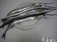 Болгария - Бургас