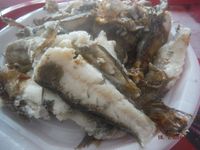 Болгария - Бургас