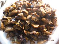 Болгария - Бургас