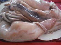 Болгария - Бургас