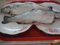 Болгария - Бургас