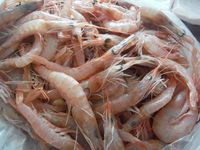 Болгария - Бургас