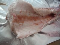 Болгария - Бургас