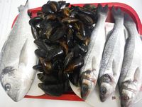 Болгария - Бургас