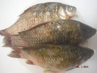 Болгария - Бургас