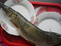 Болгария - Бургас