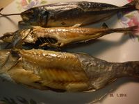 Болгария - Бургас