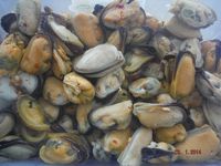 Болгария - Бургас