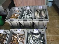 Болгария - Бургас