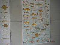 Болгария - Бургас