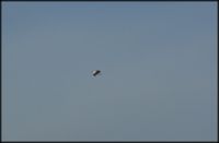 Болгария - Бургас