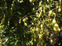 Болгария - Бургас