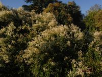 Болгария - Бургас