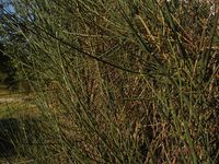 Болгария - Бургас