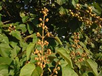 Болгария - Бургас