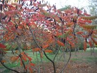 Болгария - Бургас