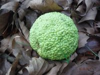 Болгария - Бургас