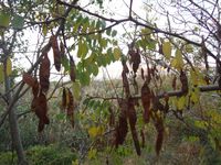 Болгария - Бургас