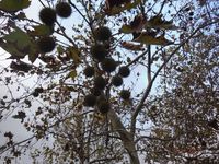 Болгария - Бургас