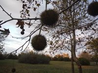 Болгария - Бургас