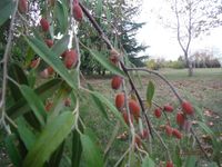 Болгария - Бургас