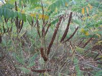 Болгария - Бургас