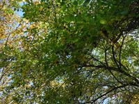 Болгария - Бургас