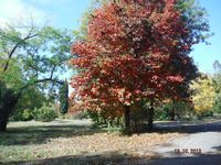 Болгария - Бургас