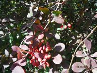 Болгария - Бургас