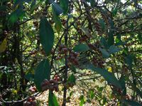 Болгария - Бургас