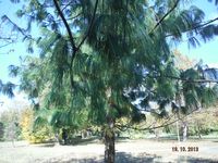 Болгария - Бургас