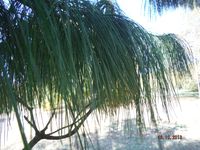 Болгария - Бургас