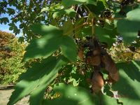 Болгария - Бургас