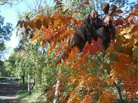 Болгария - Бургас