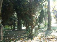 Болгария - Бургас