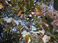 Болгария - Бургас