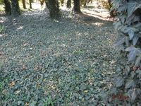 Болгария - Бургас