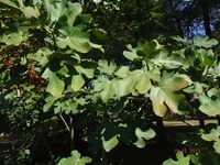 Болгария - Бургас