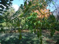 Болгария - Бургас