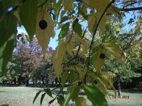 Болгария - Бургас