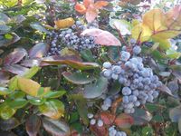 Болгария - Бургас